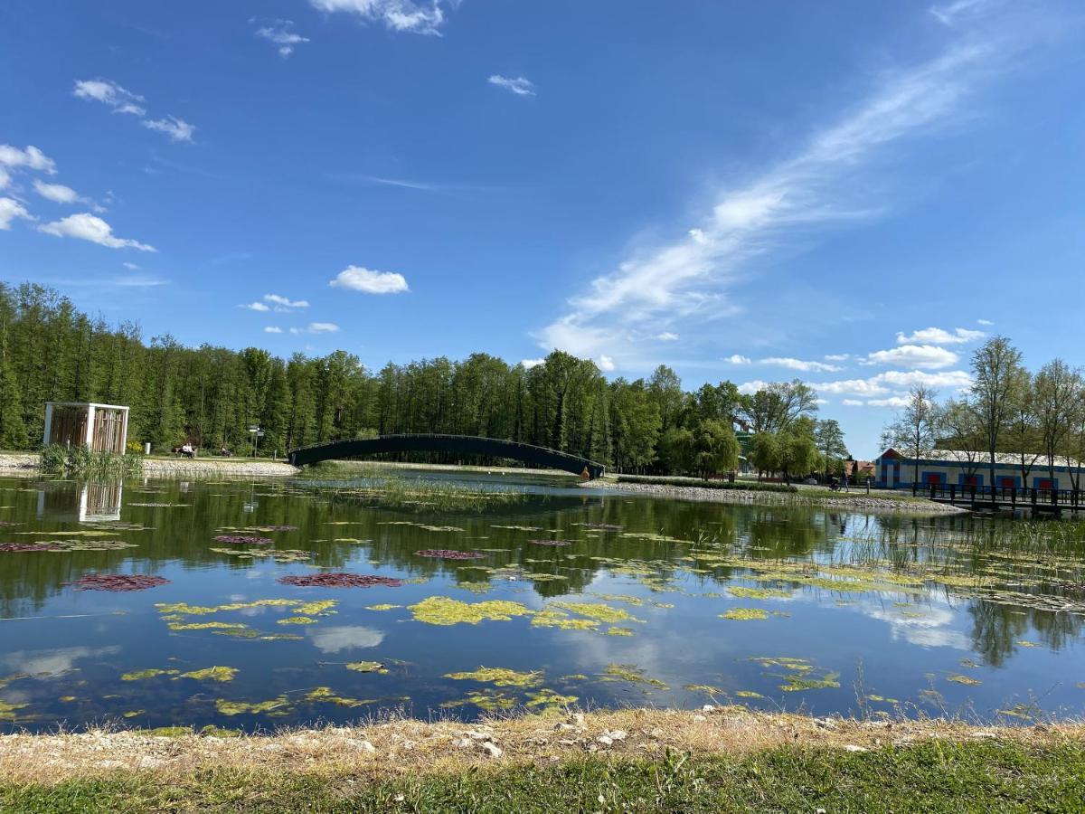 Aqualita Apartman Zalakaros Bagian luar foto